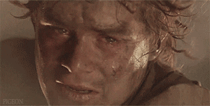 Samwise Gamgee With Dirty Face GIF