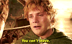 Samwise Gamgee You Cant Leave GIF