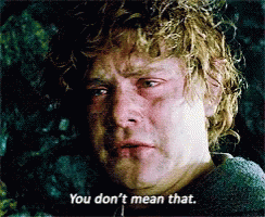 Samwise Gamgee You Dont Mean That GIF