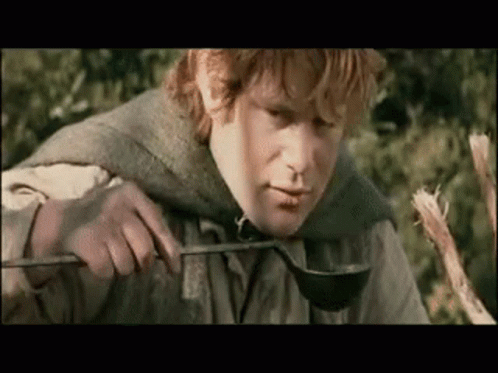 Samwise Gamgee Youre Hopeless GIF