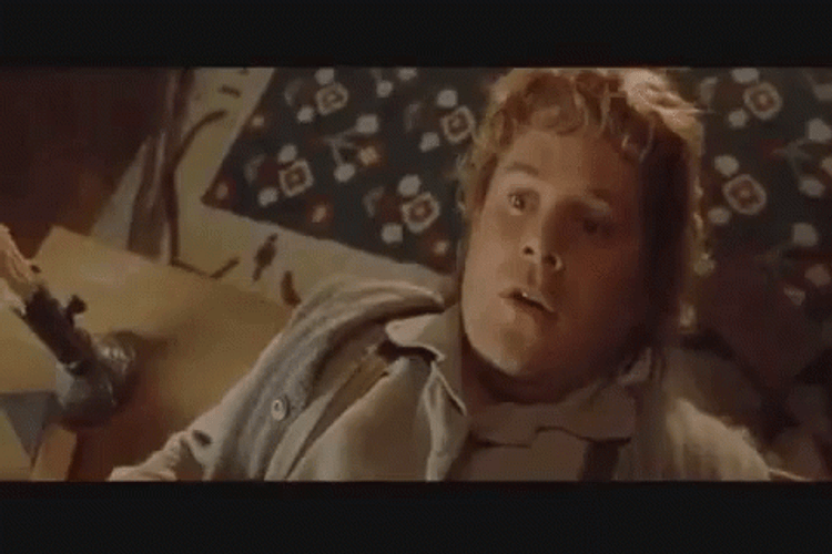 Samwise GIF