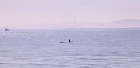 San Francisco California Beach GIF
