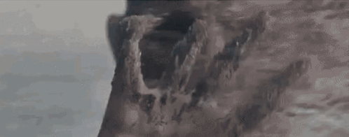 Sandman Arnold Schwarzenegger Disintegrate GIF