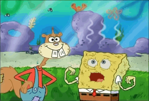 Sandy Cheeks And Spongebob Squarepants Are Standing Next To Each Other In A Cartoon . GIF