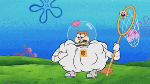 Sandy Cheeks From Spongebob Squarepants Is Holding A Net In Her Hand GIF