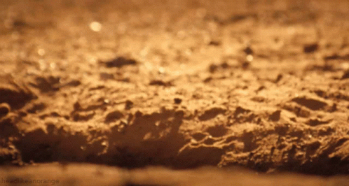 Sandy Surface With Headlikeanorange