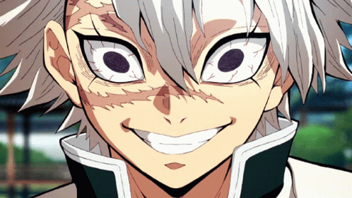 Sanemi Shinazugawa The Best Demon Slayer GIF