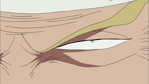 Sanji Poster Looks Like Duval GIF