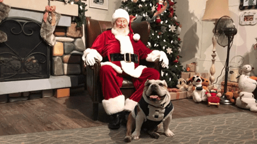 Santa And His Christmas Dog GIF