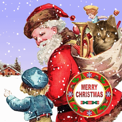 Santa Carrying Christmas Cat Gift GIF