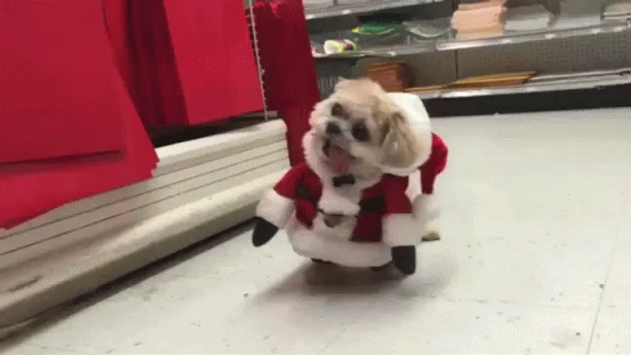 Christmas Dog