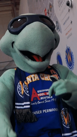 Santa Cruz Warriors Turtle Mascot Dancing GIF