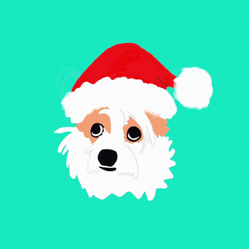 Santa Hat Christmas Dog Face GIF