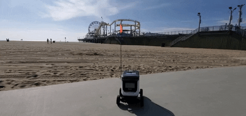 Santa Monica Kiwibot Food Delivery GIF