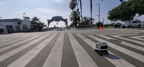 Santa Monica Kiwibot Street GIF