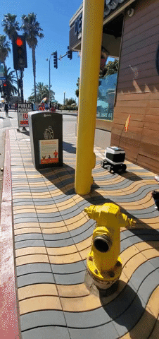 Santa Monica Los Angeles Food Robot GIF