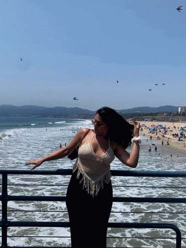 Santa Monica Pier Beach Birds GIF