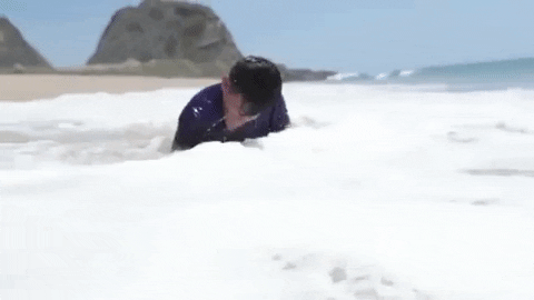 Santa Monica Swimming GIF