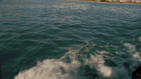 Santa Monica Tsunami 911 Rescue GIF