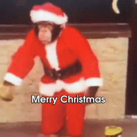 Santa Monkey Merry Christmas Meme GIF