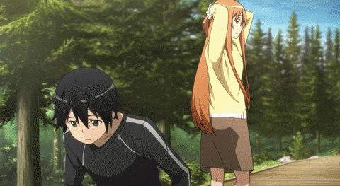 Sao Kirito Carrying Asuna GIF