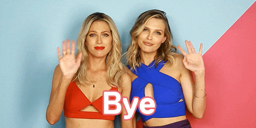 Sara Foster Bye Bye Meme GIF