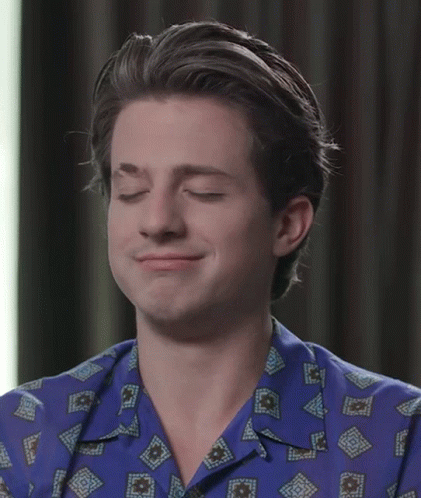 Sarahmcfadyen Charlie Puth GIF