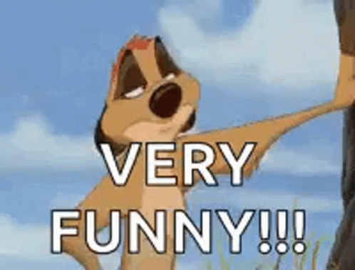 Timon Sarcastic Very Funny GIF