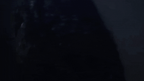 Sasquatch 480 X 270 Gif GIF