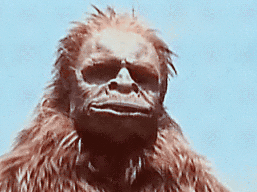Sasquatch Bigfoot Out Of Breath GIF