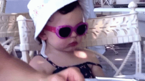 Sass Sacconejoly GIF