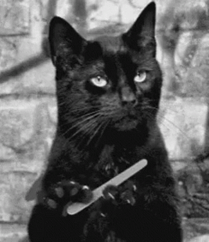 Sassy Black Cat Shaping Nails GIF