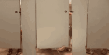 Sassy Lady With Diarrhea GIF