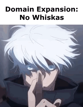 Satoru Gojo Domain Expansion No Whiskas GIF