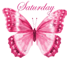 Saturday Animated Sparkling Pink Butterfly GIF