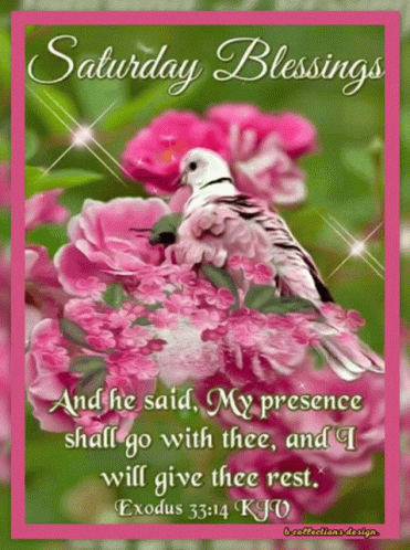 Saturday Blessings Nature Theme Art GIF