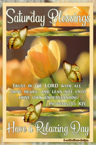 Saturday Blessings Relaxing Day With Butterflies and Flower