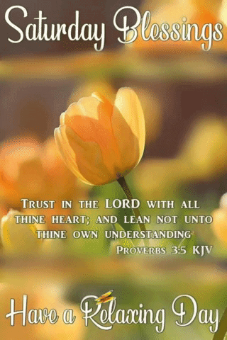 Saturday Blessings Relaxing Day Yellow Flower GIF