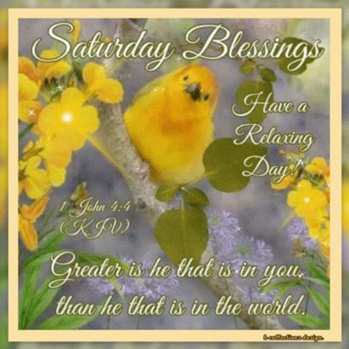 Saturday Blessings Yellow Bird on Branch