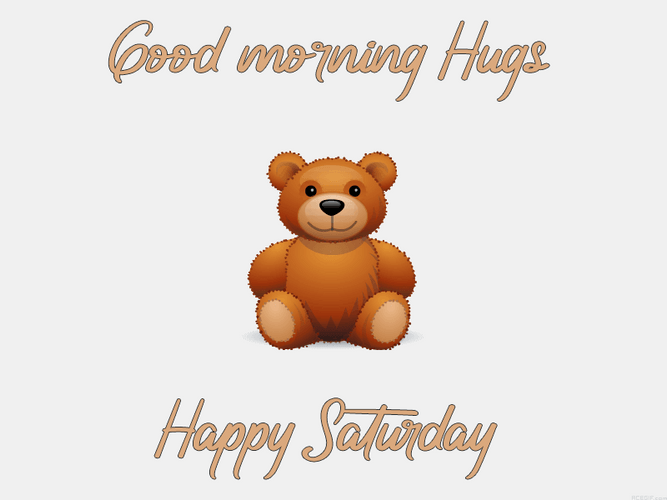 Saturday Morning Bear Hugging Cartoon GIF