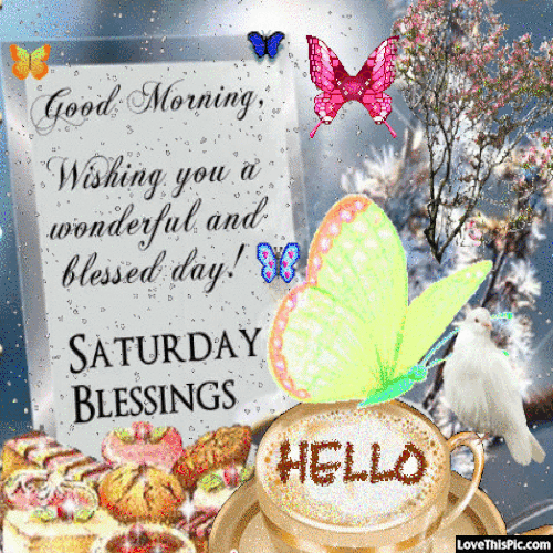 Saturday Morning Colorful Butterfly Quote GIF
