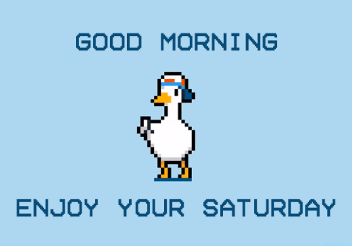 Saturday Morning Pixilated Duck Dancing GIF
