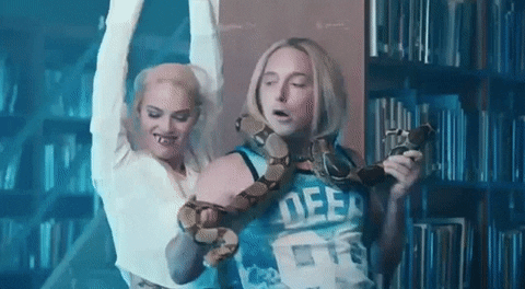 Saturday Night Live Dancing With A Snake GIF