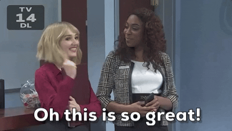 Saturday Night Live Great Success GIF