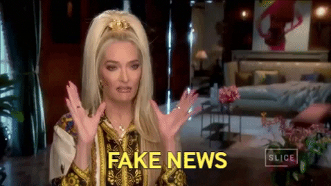 Saucy Erika Jayne Fake News GIF