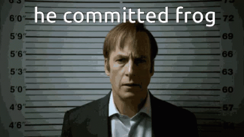 Saul Goodman Taking Mug Shot Committed Frog Meme GIF