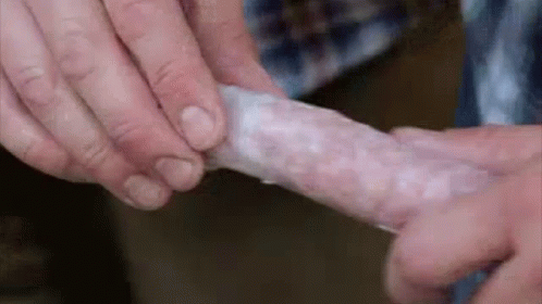 Making Of Sausage GIF