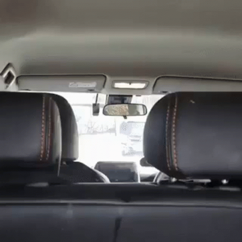 Dog Excited For Sausage GIF