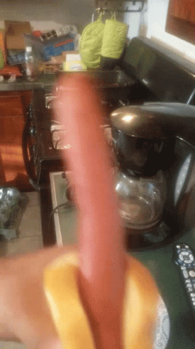 Sausage Party Big Sausage On Bread GIF