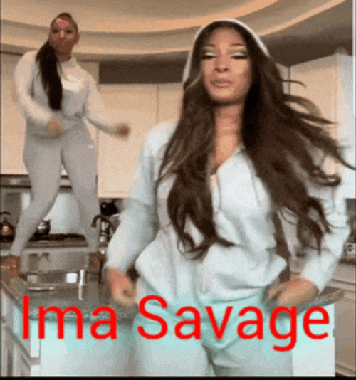 Savage Dancing Duo GIF